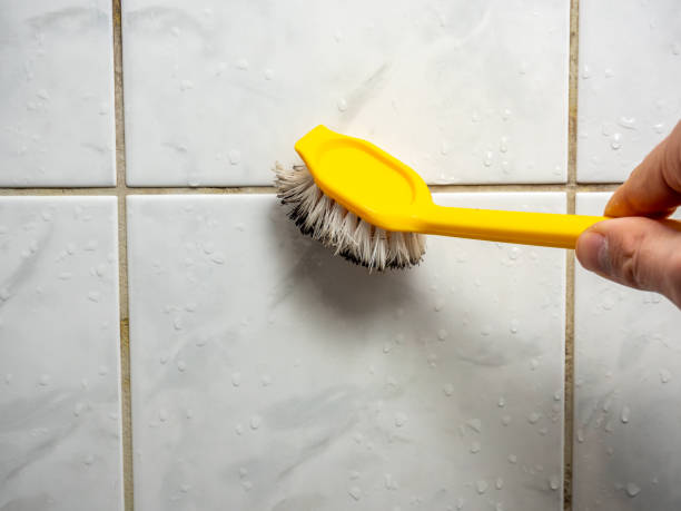 Best Residential Mold Remediation in Chauvin, LA